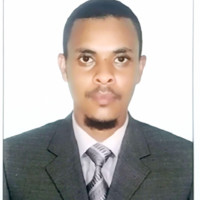 hamza alnour