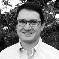 David Luppino