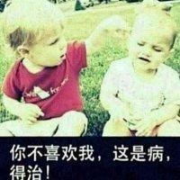 苏其照