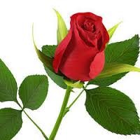 Chinmayee Harichandan