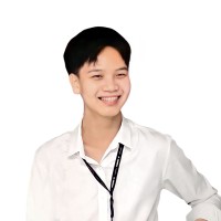 Vu Hong Son Le