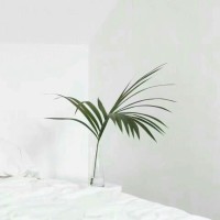 夏良富