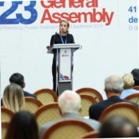 Irem Ahi Seyhan