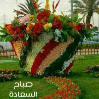 Mohamad Naser Albaradei