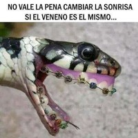 Loli Altamirano Bardallo