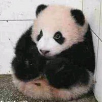 冯耀超