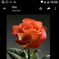 Nusrat Naheed