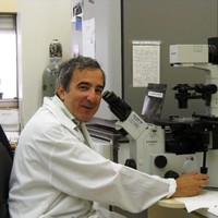Shai Izraeli