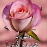 KH B.B