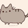 Kitty Cat
