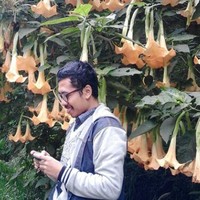 Eko Iswantoro
