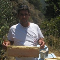 Orange County Bee and Wasp Removal