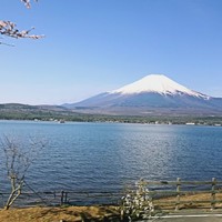 田林杰