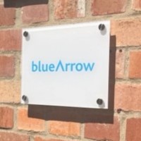 Blue Arrow Burton