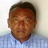David palmar