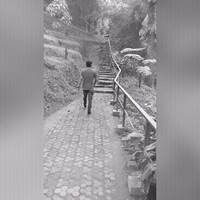 Alamsyah ,