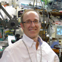 David Herrington