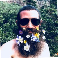 Dan Stern
