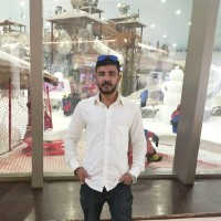 Hany Shaheen