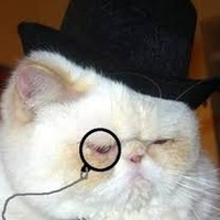 Mr. Pickles