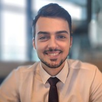 Damir Paripovic