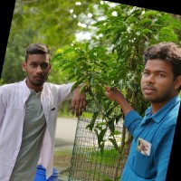 Vinoth J S
