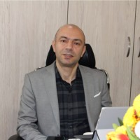 Hadi Nikouie