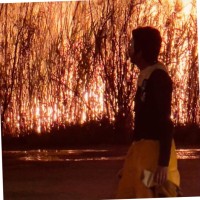 Hamad Alshrafi