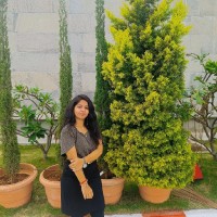 Snehitha Thadakamalla