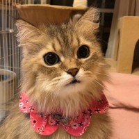 志賀亮三