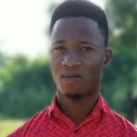 Oluwole Ogunleye