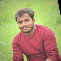 Honnesh H T