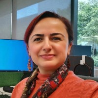 Gulsum Hopa-Alpan