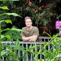 Robin Van Der Linden
