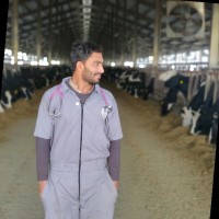 Dr Bilal Hussain