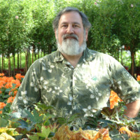 Lloyd Traven