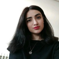 Yasmin Lotfi
