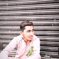 Muhammad Uzman