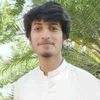 Ali Hussain