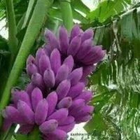 卢云正