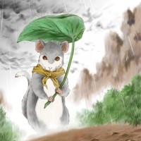 孙常磊