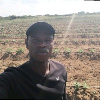 Moyahabo Johannes M.