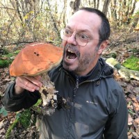 Pierre-Pascal Houdebine