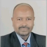 Dr .Eng. Walid Mohamed Ahmed  ,DBA, MBA,PMP