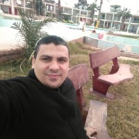 elsayed alaasar