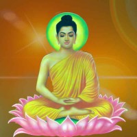 Dhamma Talk