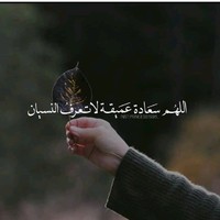 اسلام شريتح