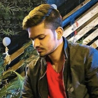 Swapnil Robin