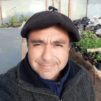 ALBERTO INGLES