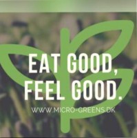 Hjalmar Van Der Buchwald